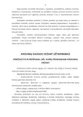 Priekabų pervežimo procesas