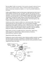 Optinio posukio kampo jutiklio veikimo principas