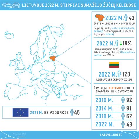 statistika apie mirtinas avarijas keliuose