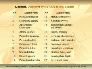 Įvairių tepalų tipų ir klampumo rūšių lentelė