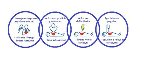 Gyvatės tipai Lietuvoje ir pirmosios pagalbos veiksmai