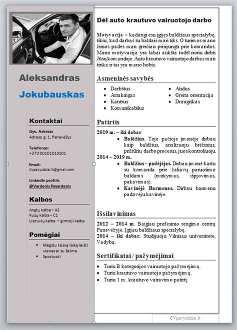 Vairuotojo CV struktūros schema
