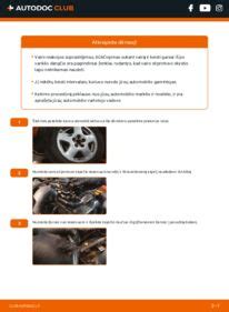 infografika rodanti vairo stiprintuvo skysčio keitimo intervalus