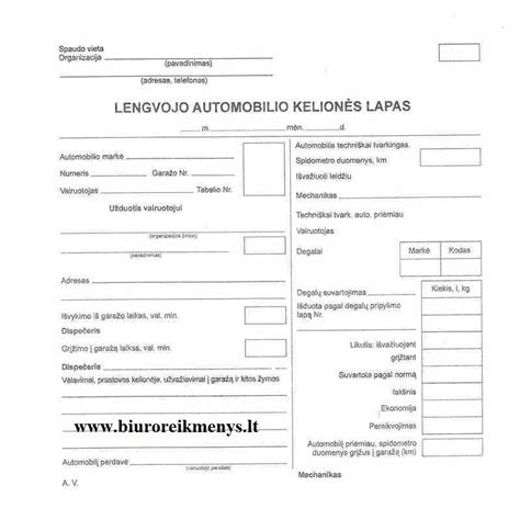 Schematinis automobilio patikros taškų pavaizdavimas