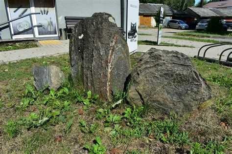 Žemėlapis su Ladygos g. Anykščiuose ir aplinkinėmis automobilių dalių parduotuvėmis
