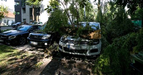 Automobilis parkuojamas pavėsyje, toliau nuo medžių
