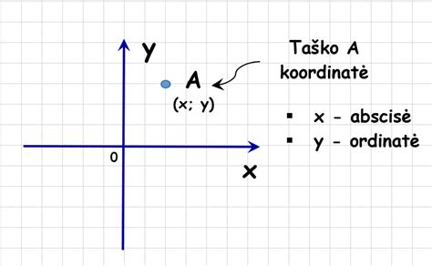 Descartes'o koordinačių sistemos pavyzdys