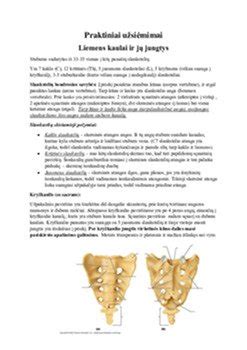 Skirtingi ksenoninių blokelių modeliai ir jų jungtys