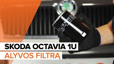 Skoda Octavia matuoklis alyvos lygiui tikrinti