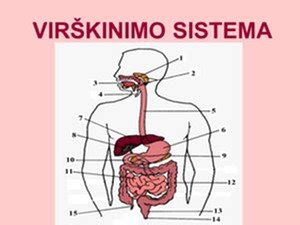 EUCARIS sistemos schema