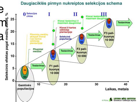 schema ketvirtos kartos dujinės įrangos