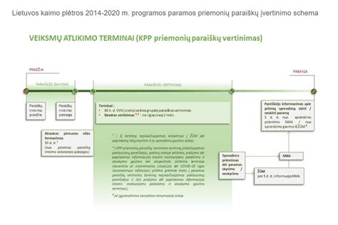 Schema rodanti žalos administravimo procesą