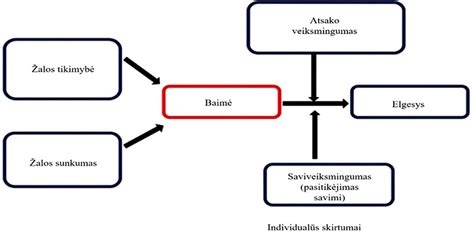 Schema, iliustruojanti savisaugos instinkto poveikį vairavimo elgesiui