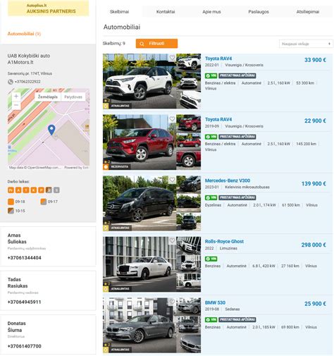 Danijos automobilių pardavimo skelbimų pavyzdžiai