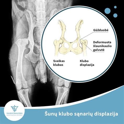 Nuotrauka ar schema, iliustruojanti klubo veiklą ar susibūrimus
