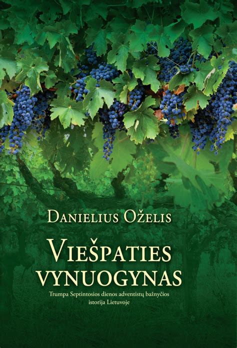 Vynuogynas saulėtą dieną