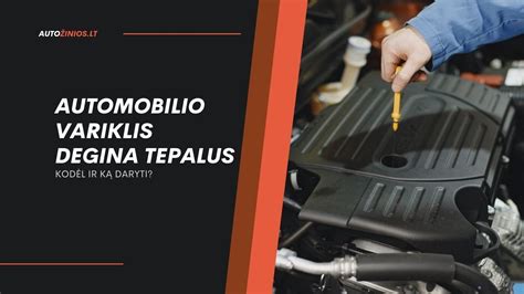 Variklio tepalo cirkuliacija