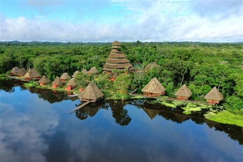 Yasuni duslintuvų klasifikacija