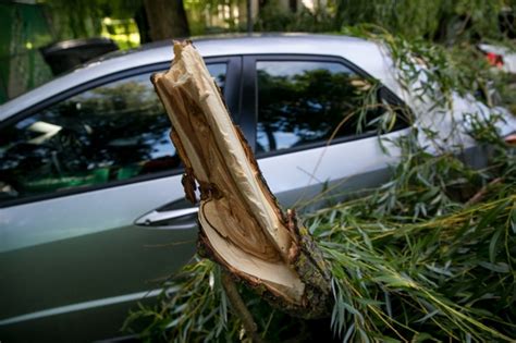 medis automobilių markių kilmės
