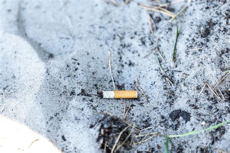 Cigaretės nuorūka gamtoje