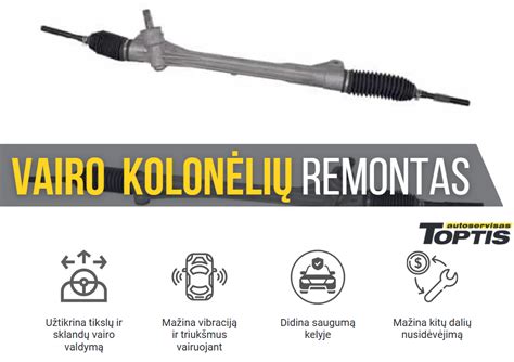 Vairo kolonėlės sandara