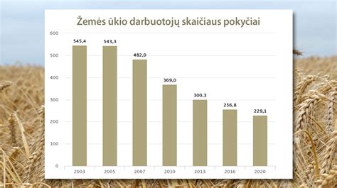 Infografika, iliustruojanti žemės ūkio produktų gamybos veiklas, kurioms taikomos akcizų lengvatos