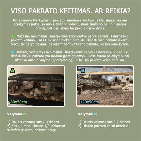 Grafikas, iliustruojantis eismo intensyvumo pokyčius skirtingais paros metai