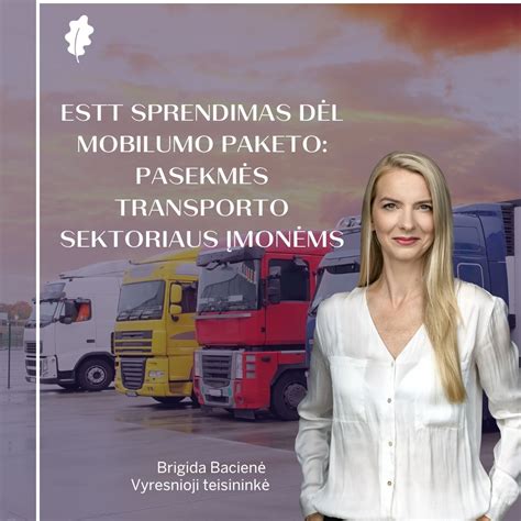 Schematinis pavaizdavimas mobilumo paketo reglamentų