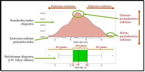 Įvairių priekabų tipų palyginimas