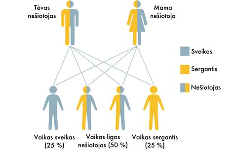 Sankabos gedimo simptomų schema