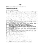 Automobilių remonto procesas