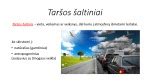 Taršos mažinimo technologijos automobiliuose