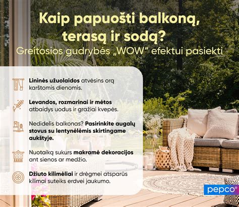 Infografika: Patarimai, kaip prižiūrėti galinį valytuvą