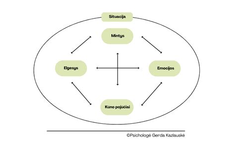 Schema: Kognityvinės elgesio hipnoterapijos principai