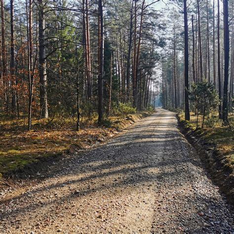 Islandijos gamtovaizdis su keliu