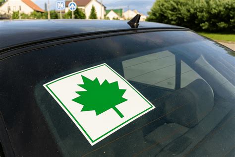 jaunas vairuotojas su žaliu klevo lapu ant automobilio