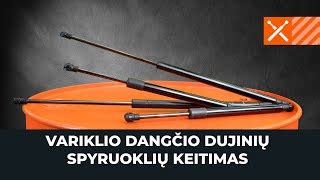 Schema, kaip pakeisti dujinę spyruoklę bagažinėje