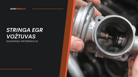 Simptomai, rodantys EGR gedimą