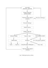Schema automobilio remonto technologinio proceso