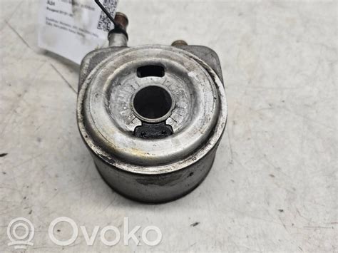 Nuotrauka Peugeot 307 tepalo aušintuvo