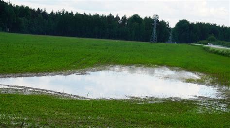 Lietus kaimo laukuose