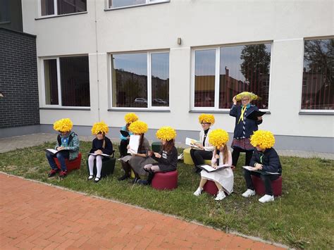 Pienių žydėjimas pievoje