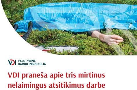 Statistika apie nelaimingus atsitikimus Plungės rajone