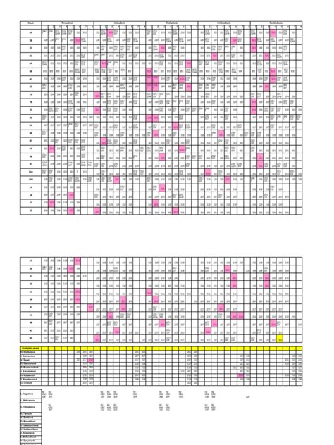 Schema: svorio paskirstymas baidarėje