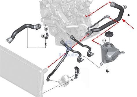 Pažeista automobilio aušinimo sistemos žarna