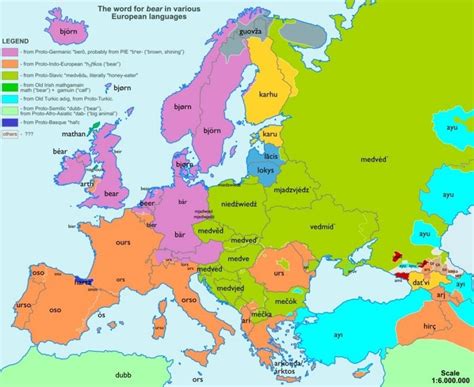 Žemėlapis su žiemos padangų reikalavimais Europos šalyse