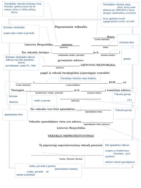 Schematinis vagystės pavyzdys