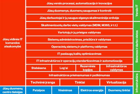 Infografika apie duomenų nutekėjimo rizikas