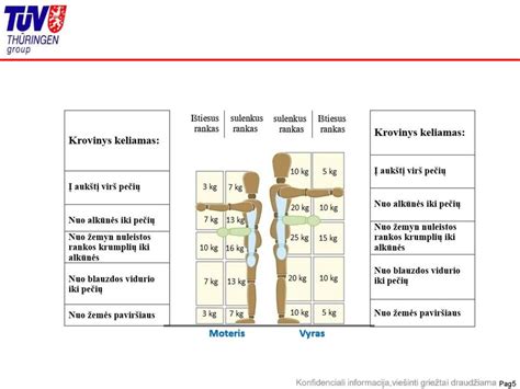 kroviniu birzos schema