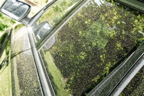 Nuotrauka, vaizduojanti automobilio pusašio dalis